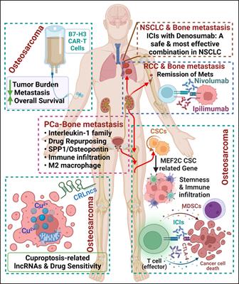 Editorial: Bone metastasis in the milieu of osteoimmunology